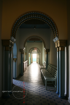 IMG_8635_6.jpg